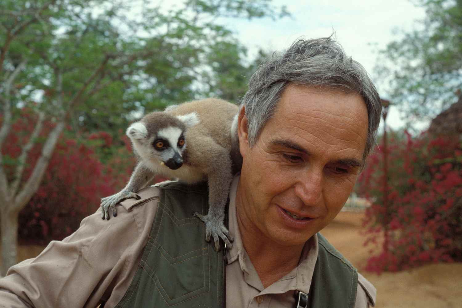 fulco pratesi wwfitalia