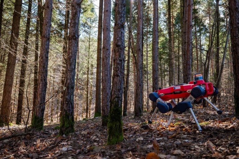 Forêts de haute technologie: les drones et les robots pénètrent le cœur de la nature pour le surveiller et le protéger