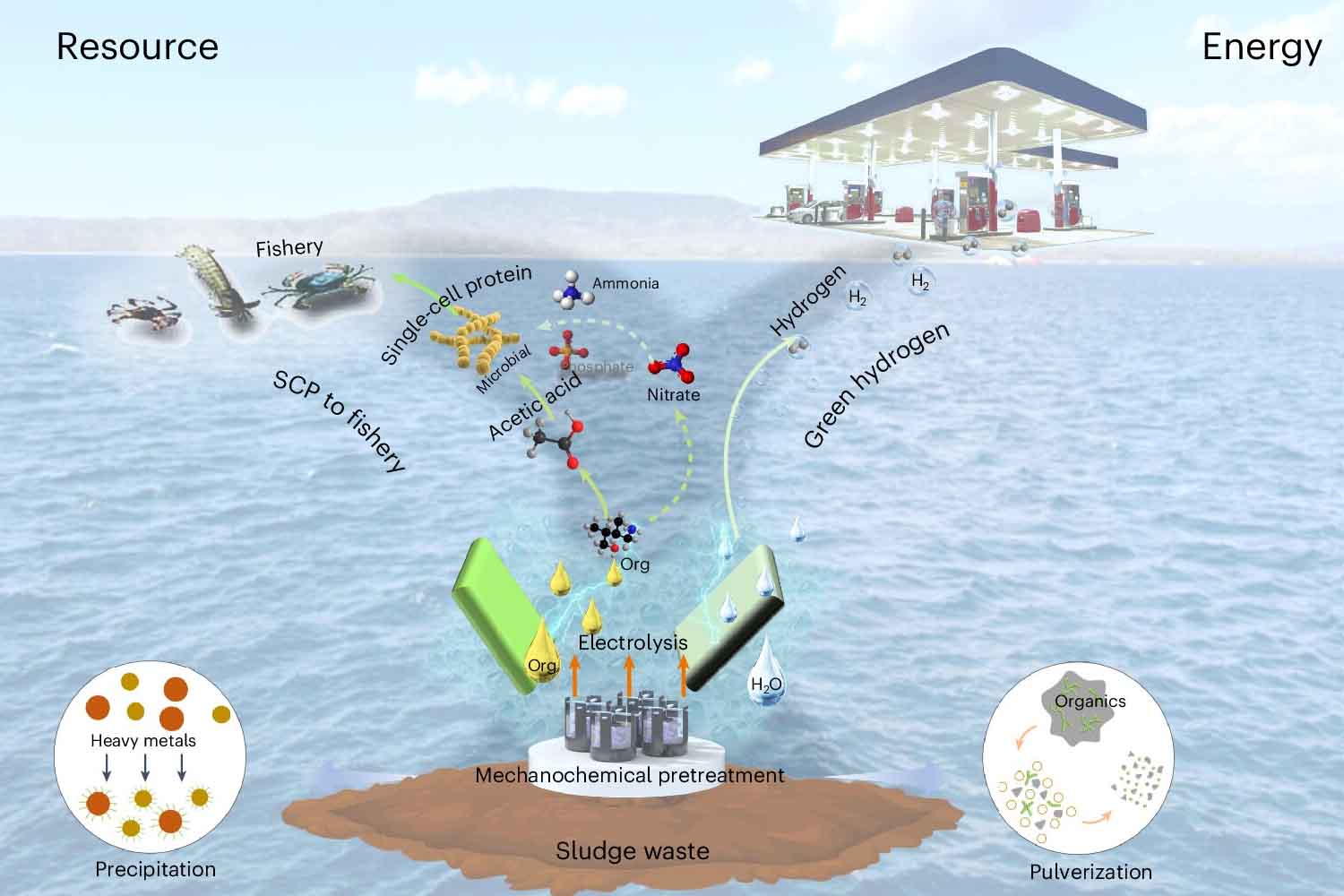 fanghi di depurazione trasformati in proteine e idrogeno verde
