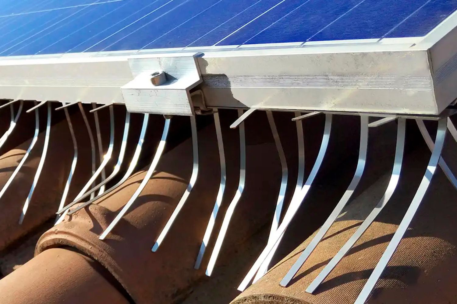 Photovoltaïque: Voici les peignes avec des peignes qui protègent les panneaux solaires (et ils ne blessent pas les oiseaux)