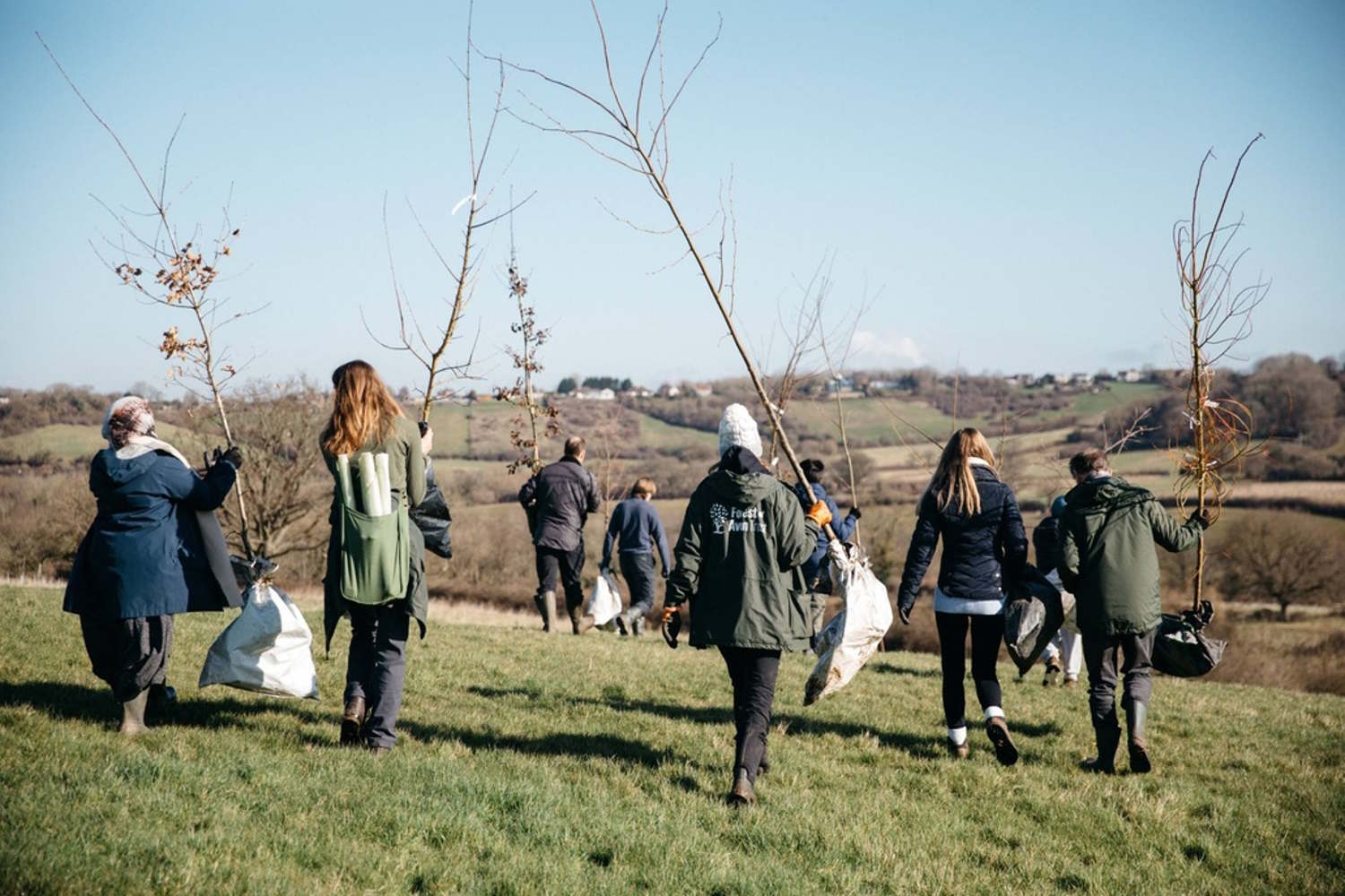foresta nuova UK