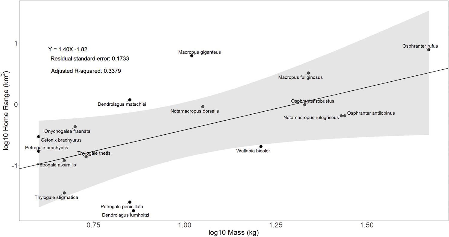 Giants Giants Extinction australienne
