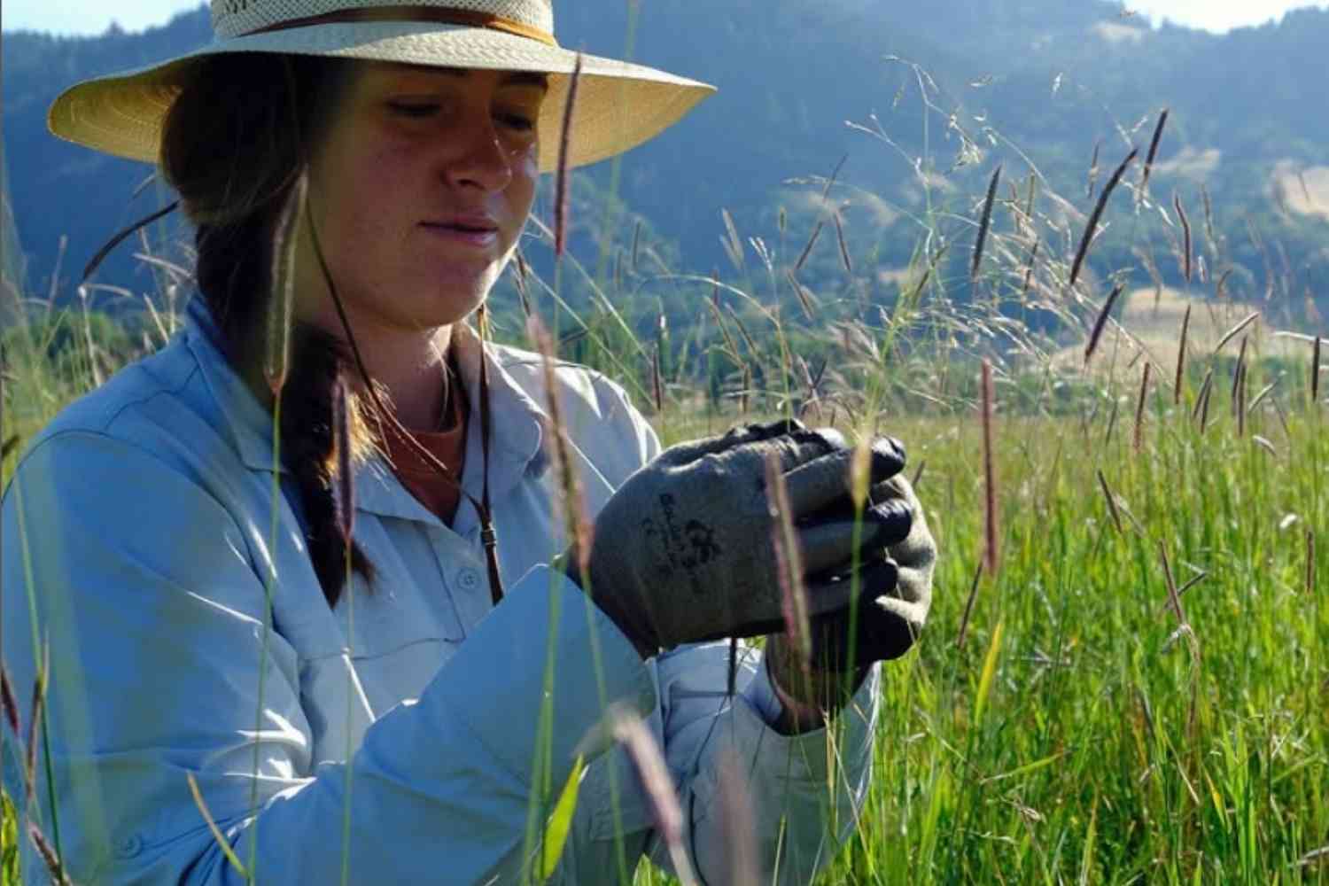 heritage_growers_semi_California