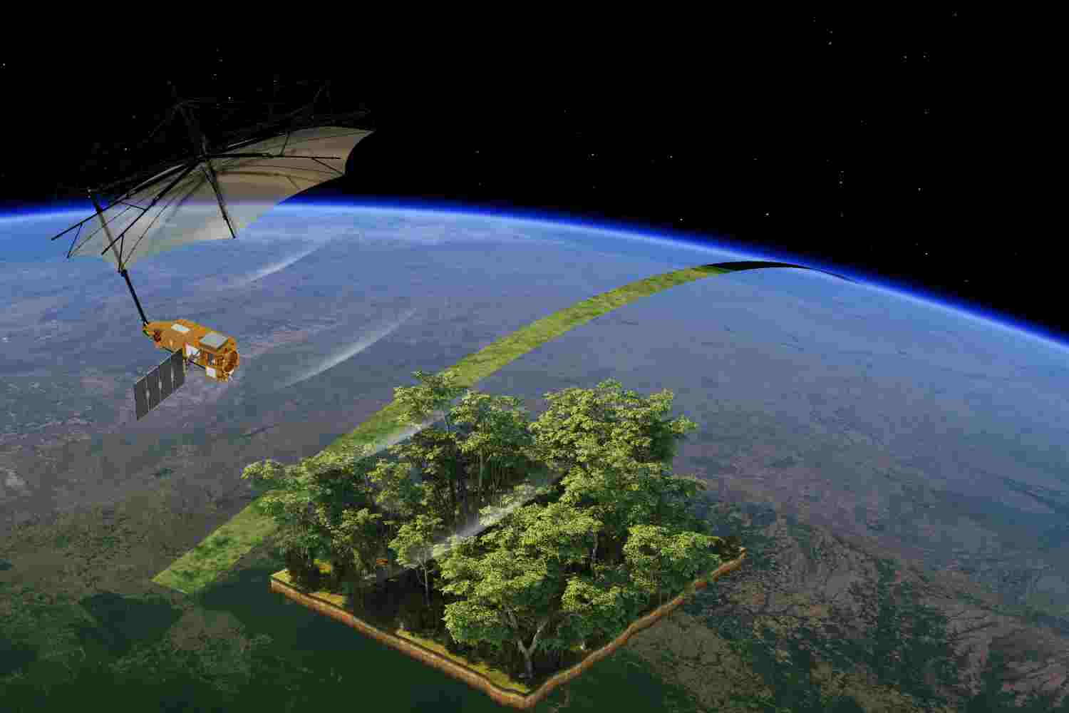satellite_foreste_Biomass