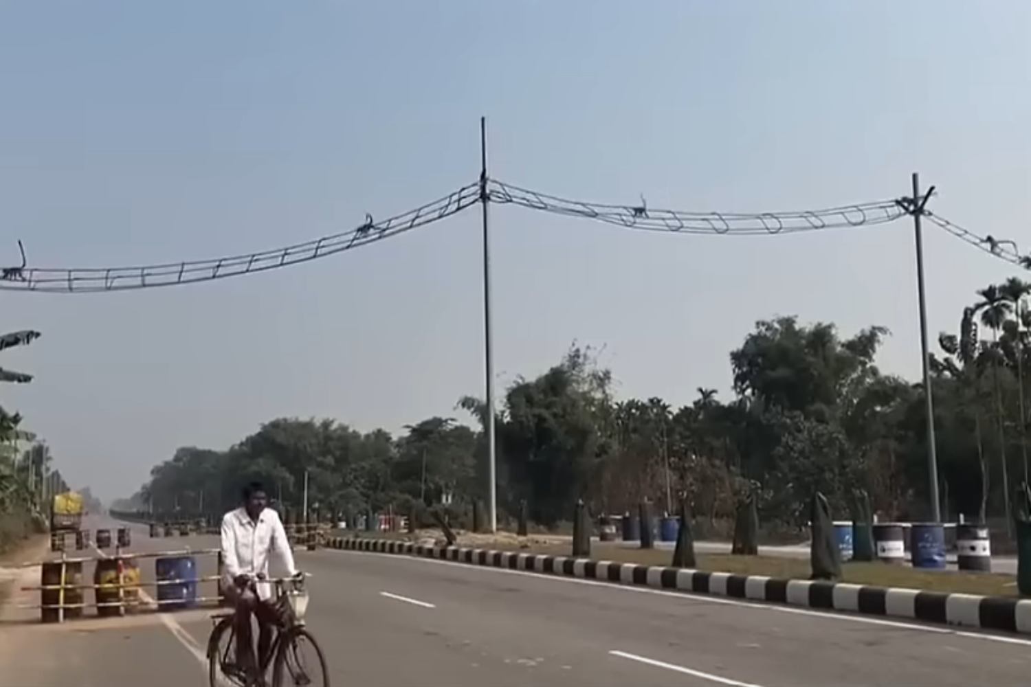 Ponti sospesi primati