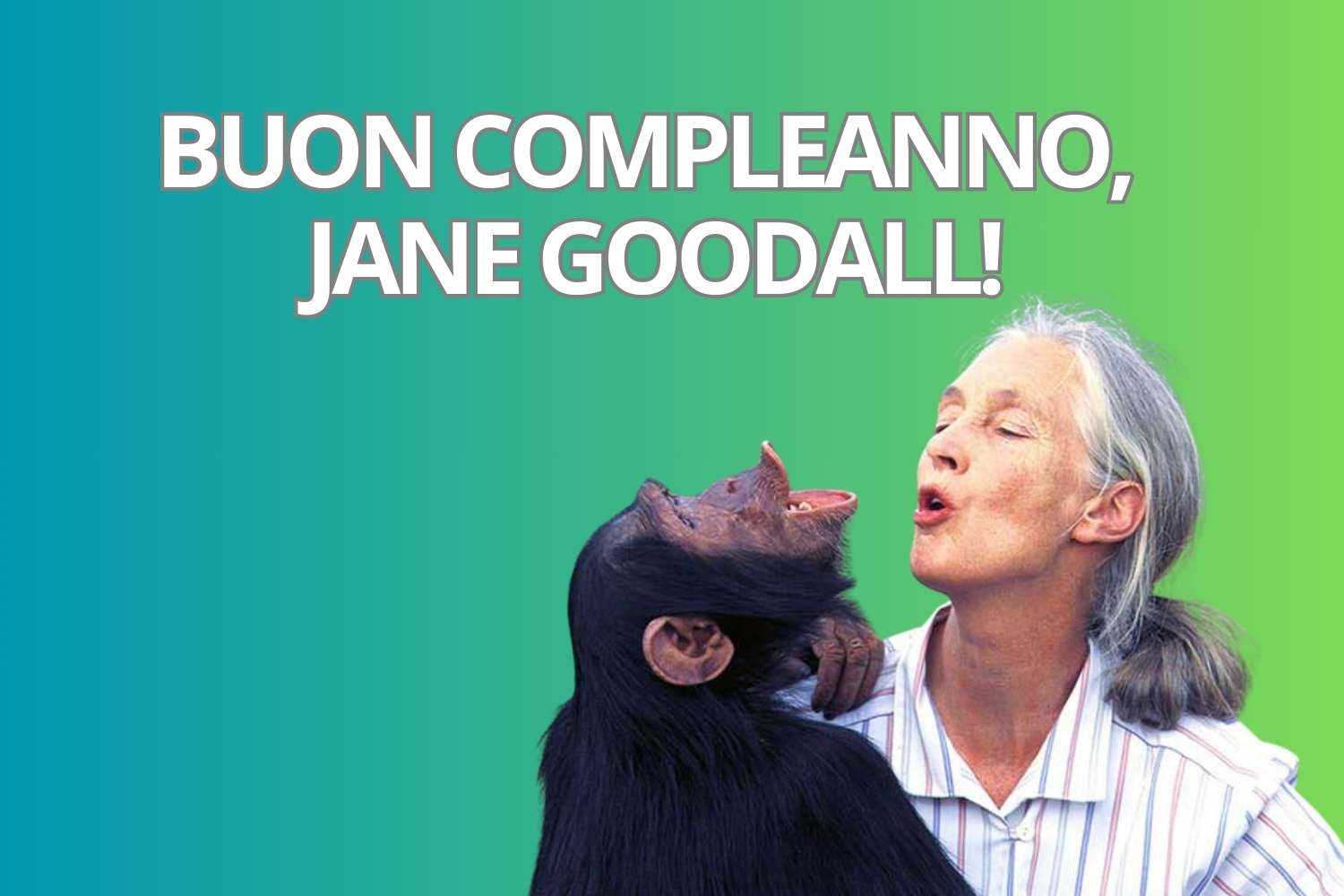 JANE GOODALL