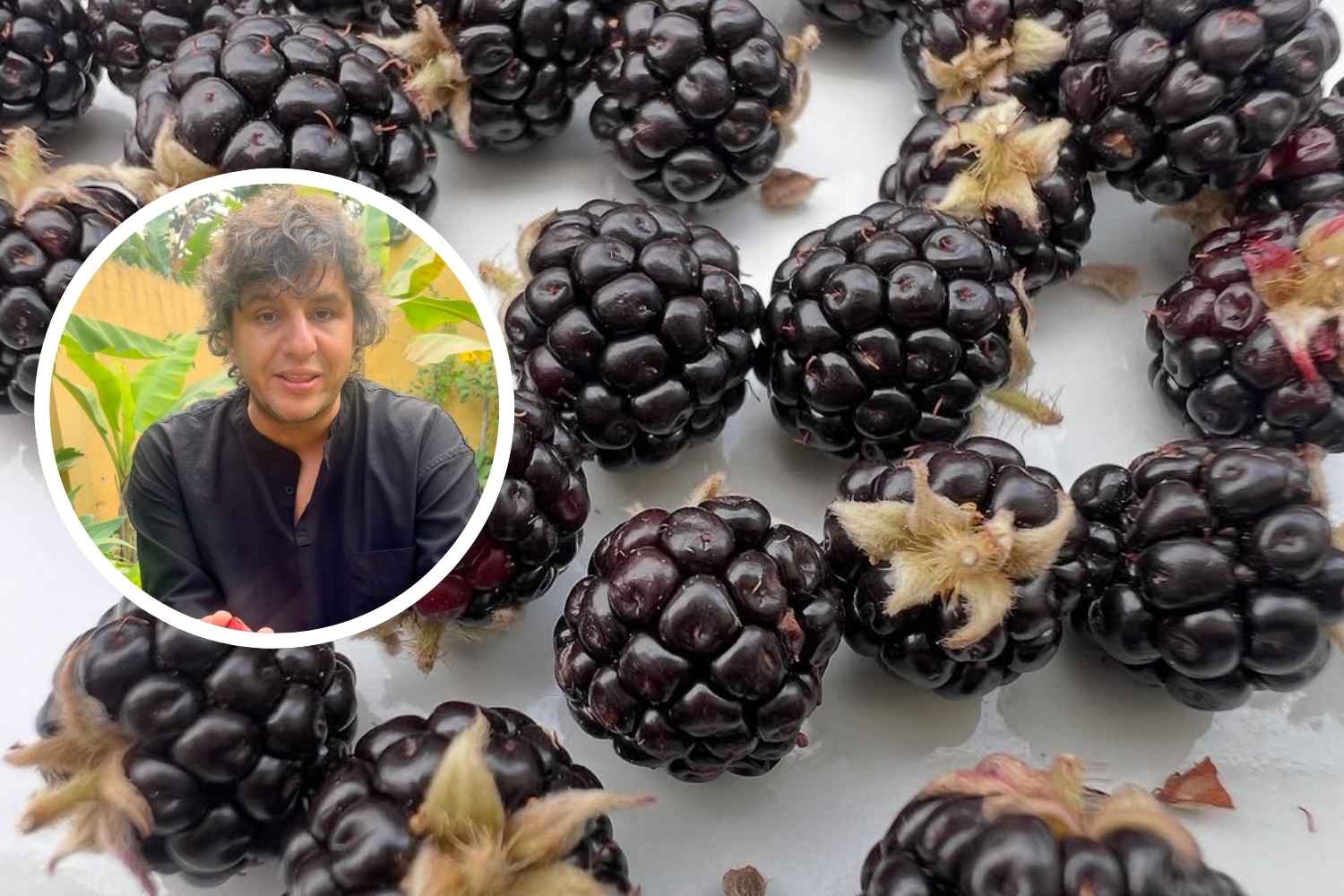 signore della frutta