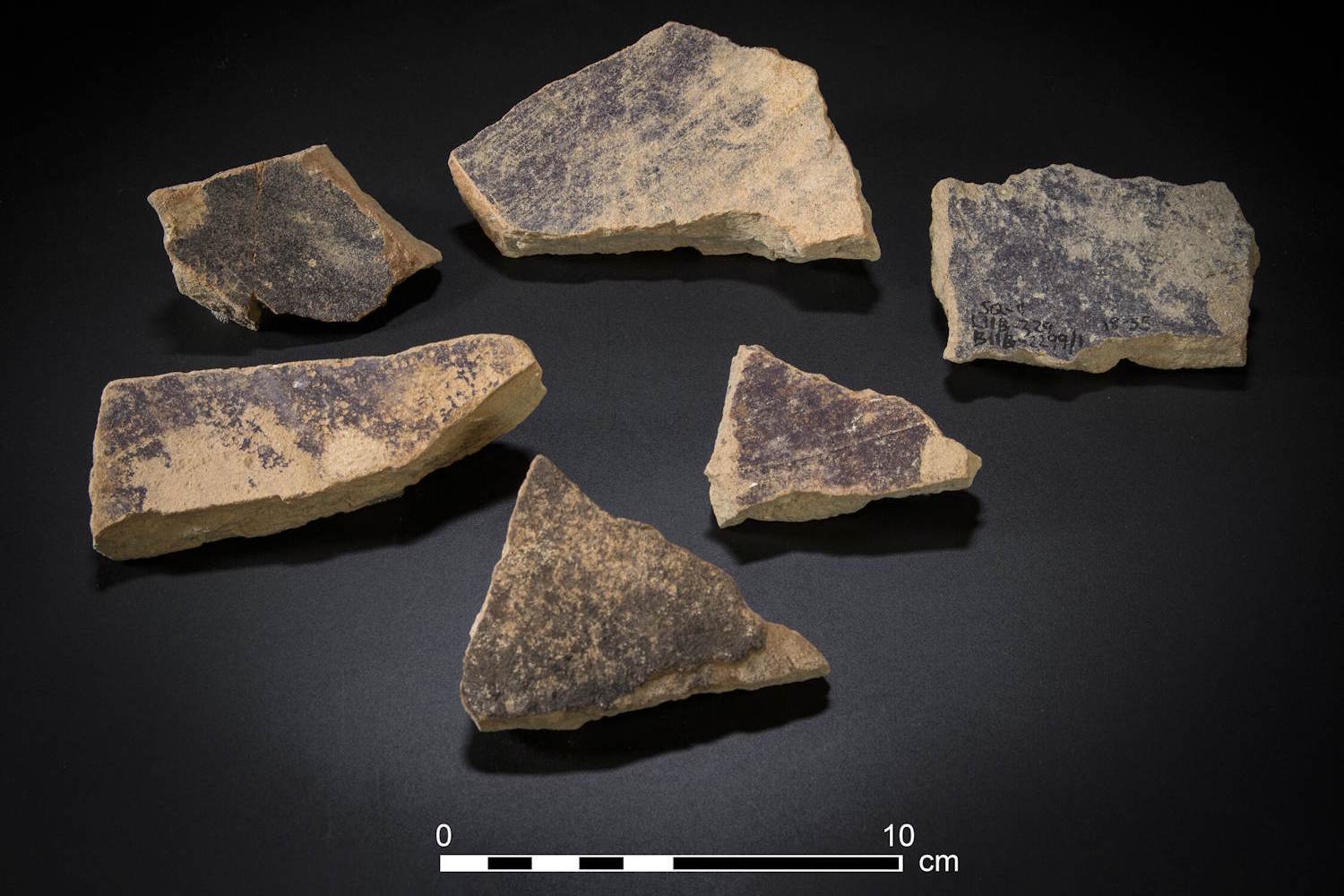 impianto industriale porpora età del ferro