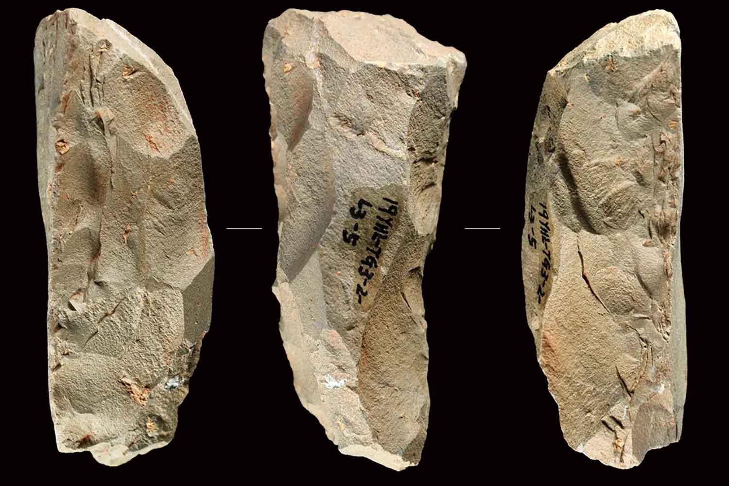 Strumenti in stile Neanderthal trovati in Cina