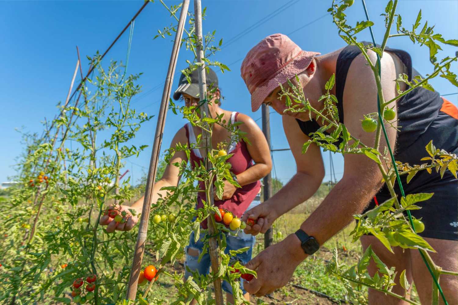 Milleorti pour le tourisme 2