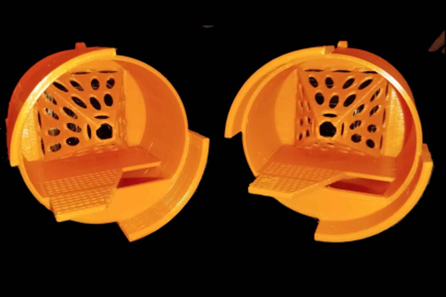 Piège à cornet asiatique