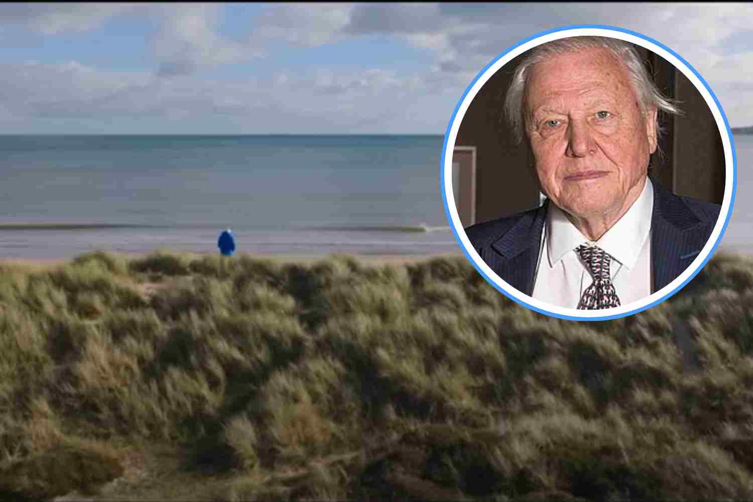 Ocean_film_David_Attenborough