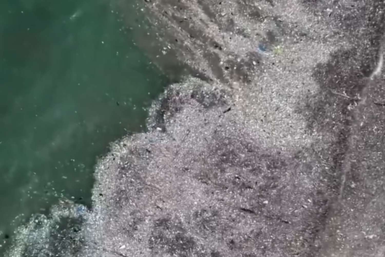 Spiaggia di Kedonganan