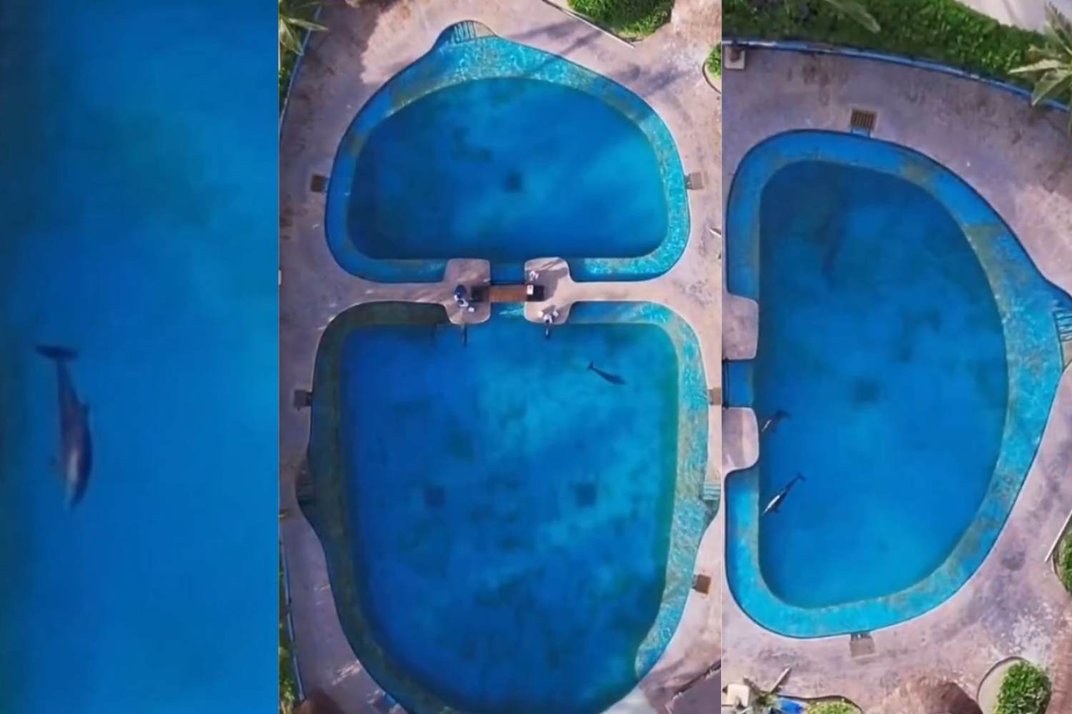 Delfinario del Barceló Maya Grand Resort