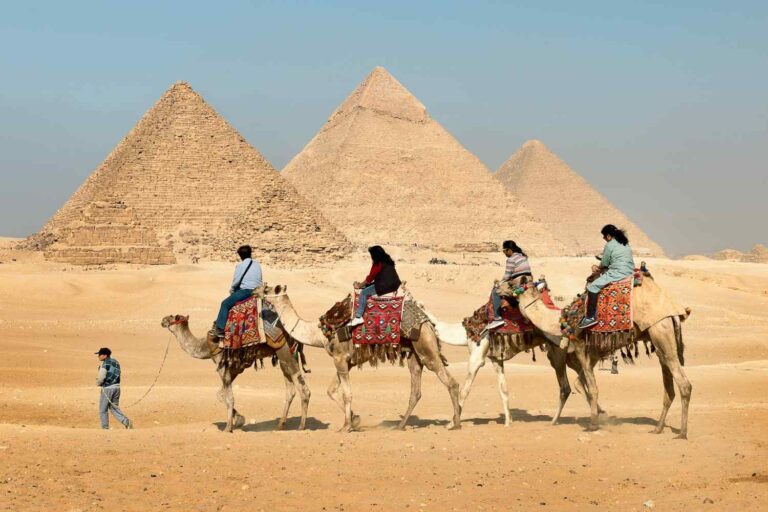 Bonnes nouvelles! Marriott en dit assez aux tournées d'animaux: arrêtez les tours sur les chameaux et les chevaux aux pyramides de Giza