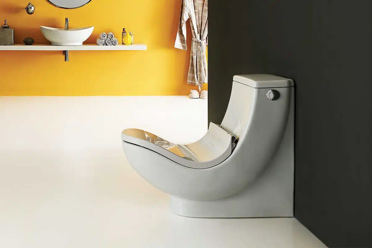 toilettes ergonomiques