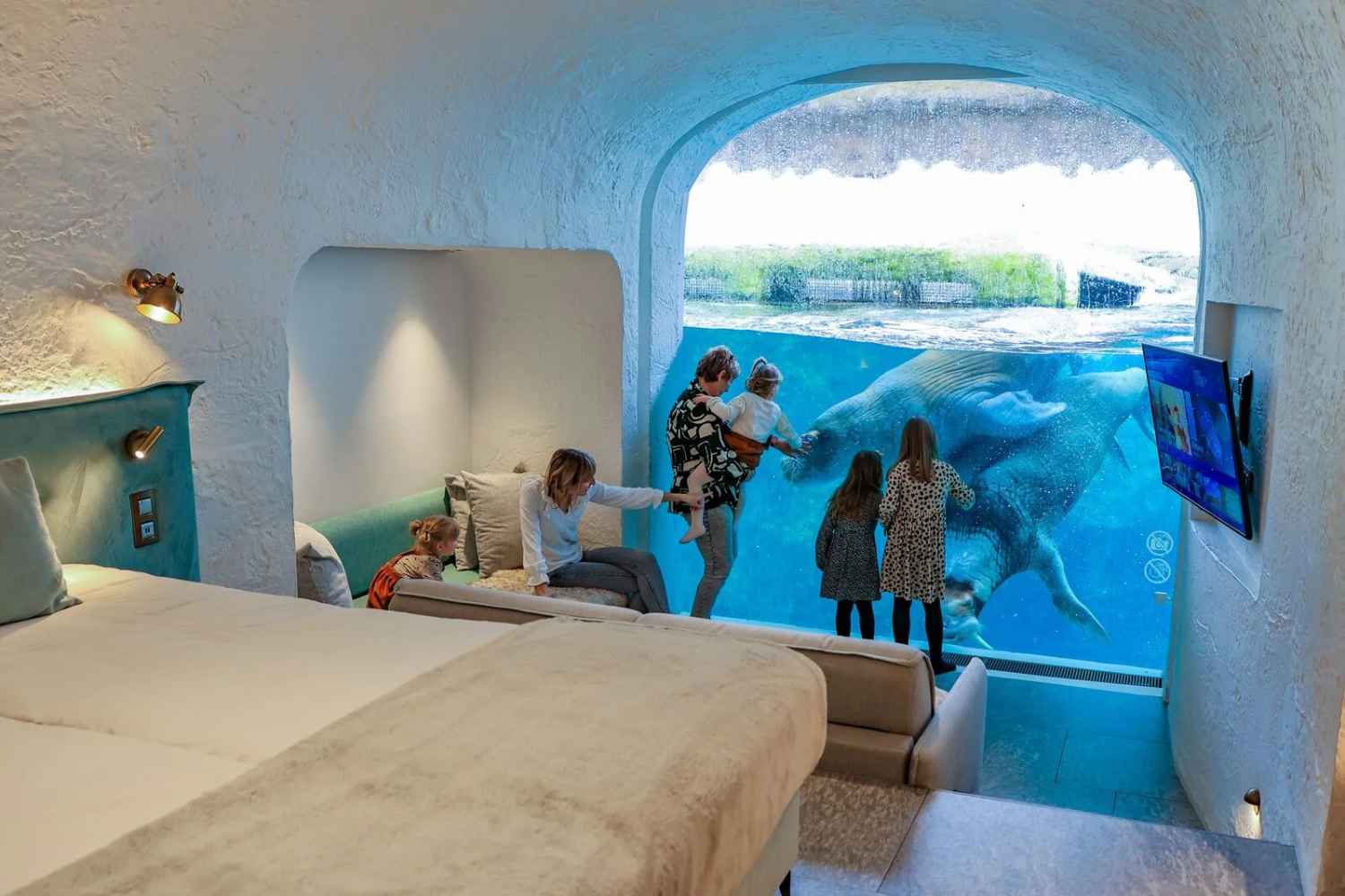 Dormir avec des animaux: le dernier touriste effrayant trouvé de ce zoo belge