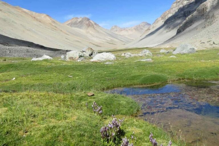 Il ouvre un nouveau sanctuaire au Chili: avec ses 93 mille hectares, ce sera un rempart pour la biodiversité