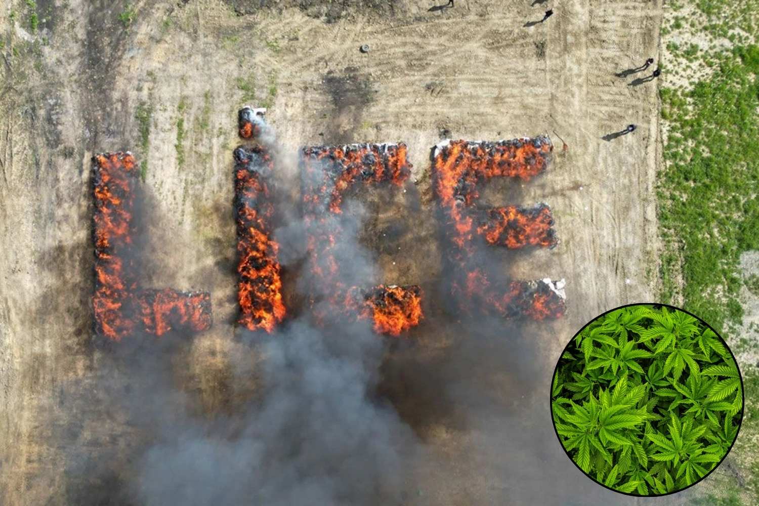 marijuana bruciata turchia