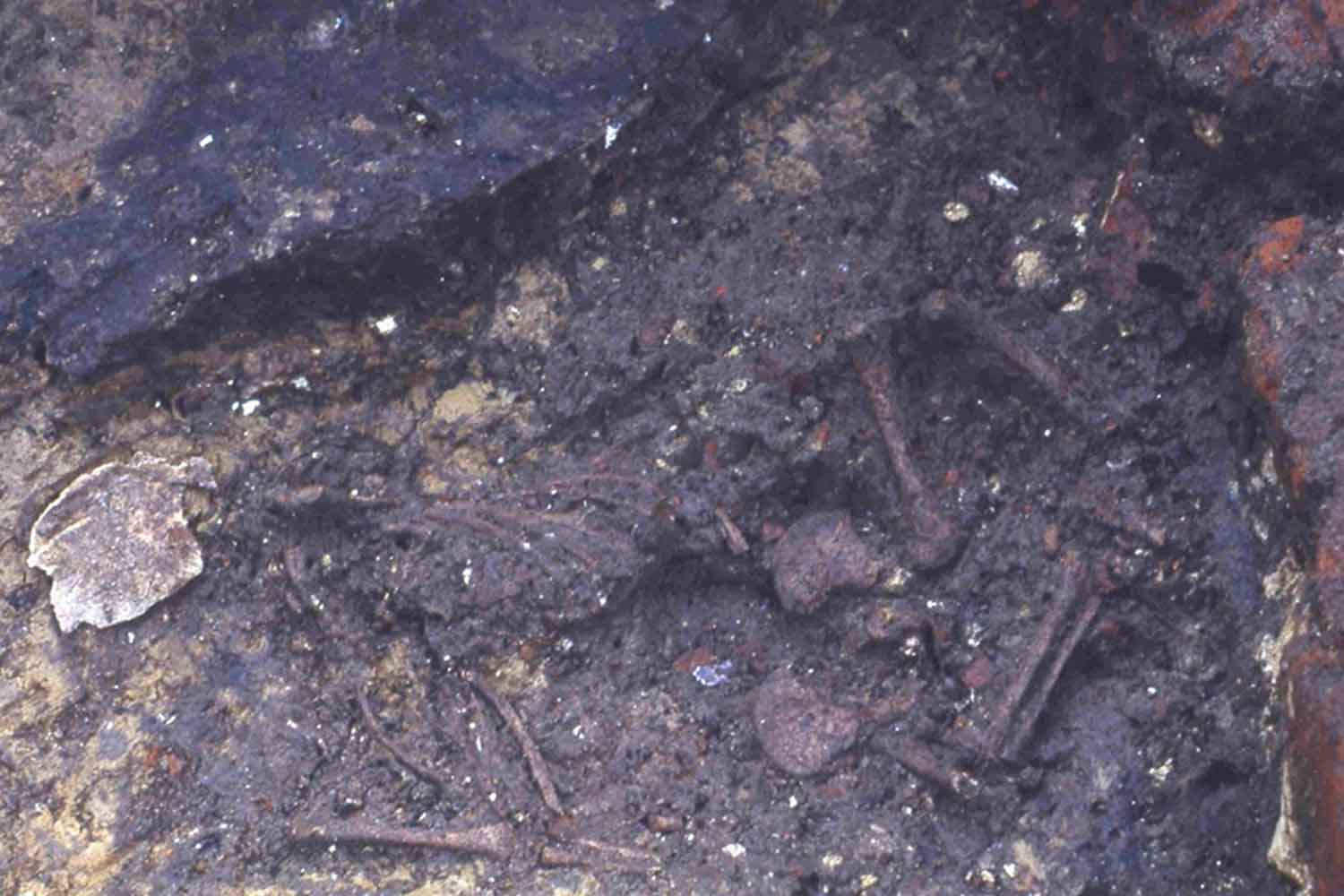 bambino sepolto bordello medievale