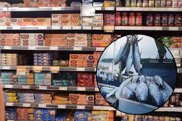 Le vrai poids (environnemental) de votre boîte de thon