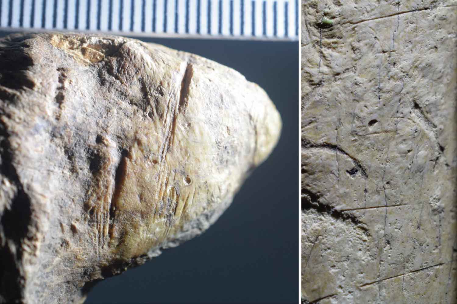 Romania presenza umana più antica in Europa