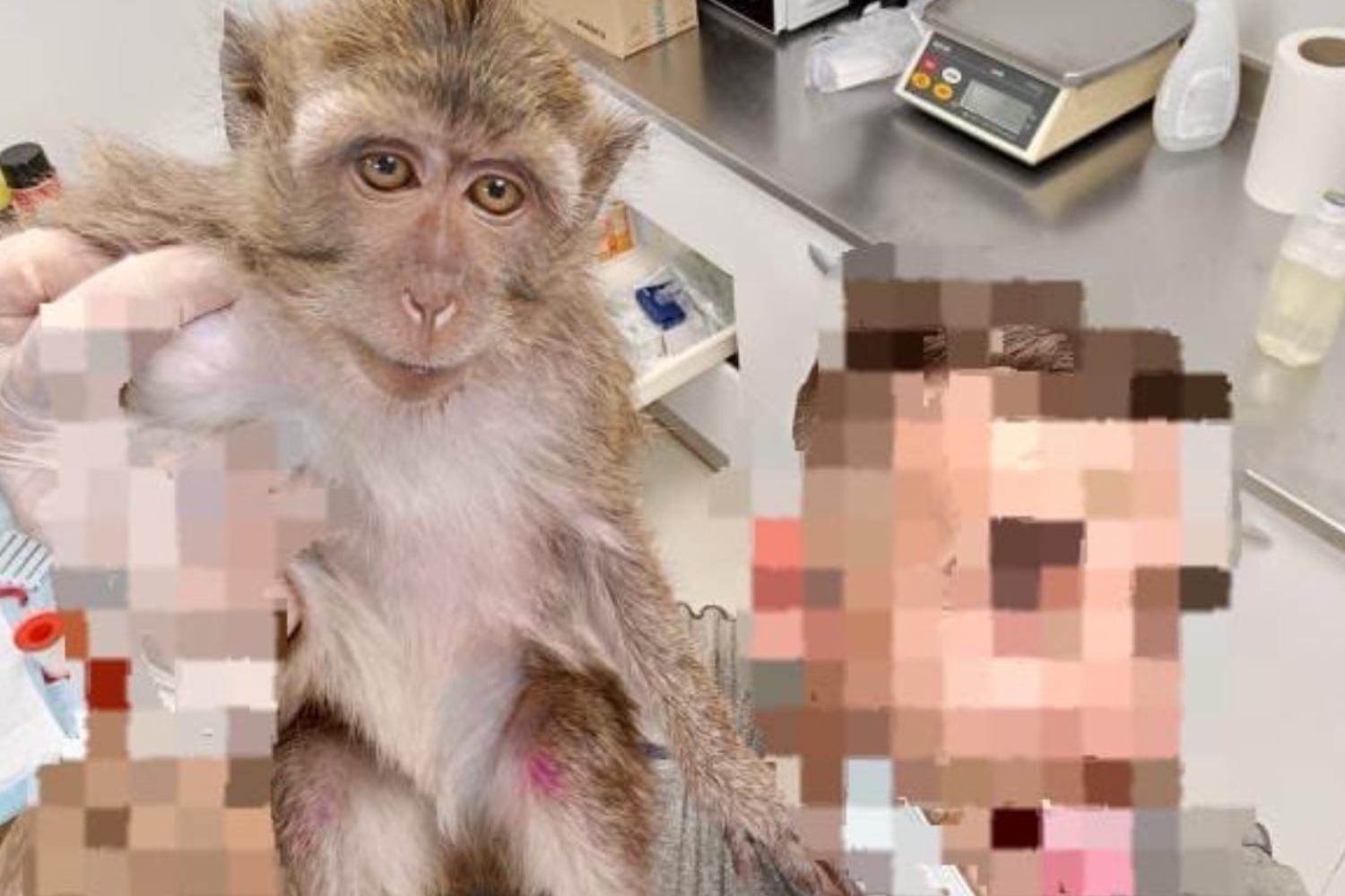 Immagini centro sperimentazione