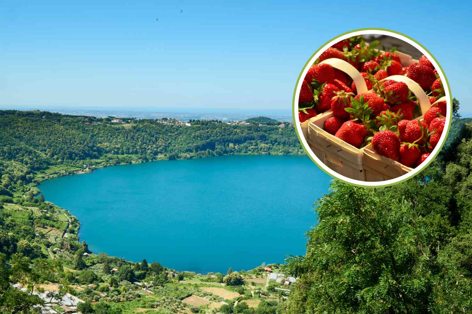 sagra fragole di nemi