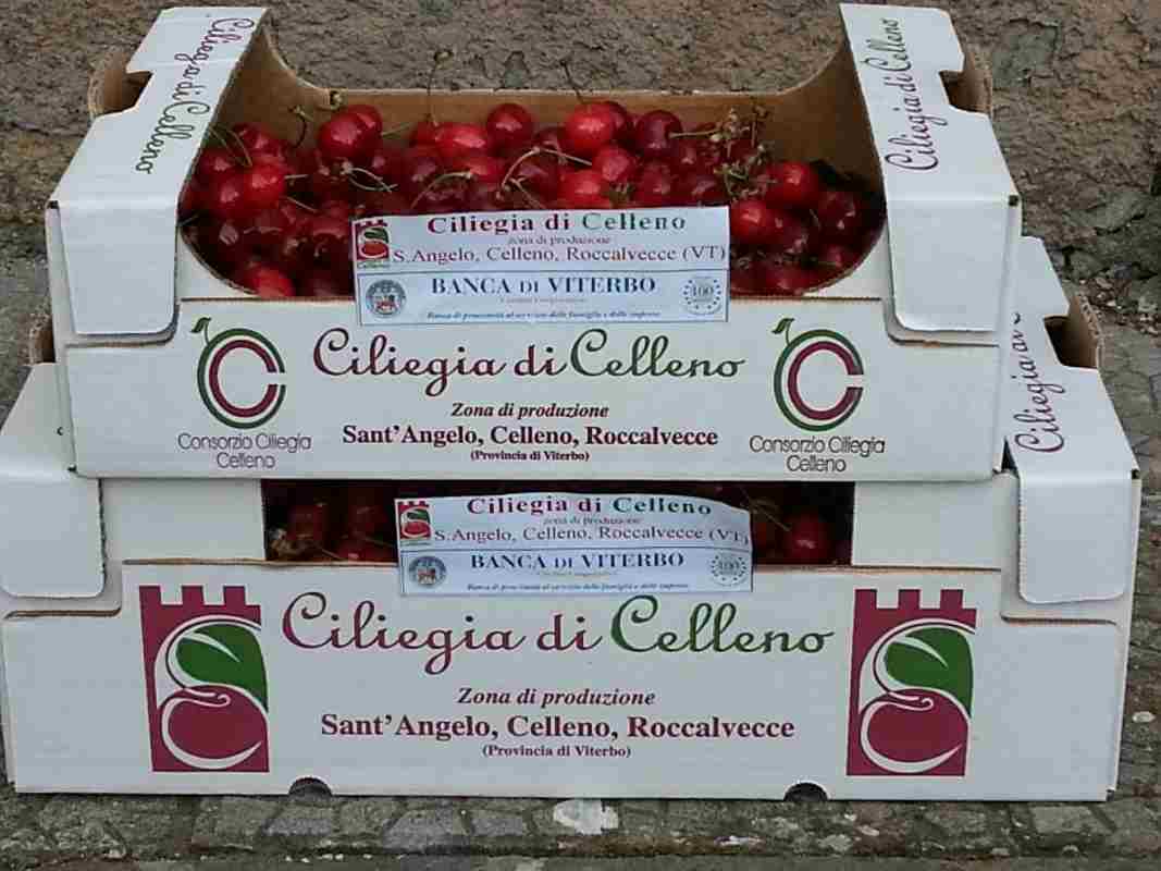 Celluno Cherries