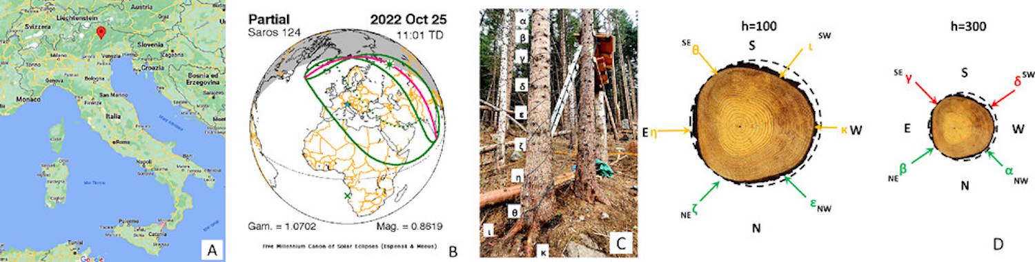 Communication des arbres des éclipses solaires