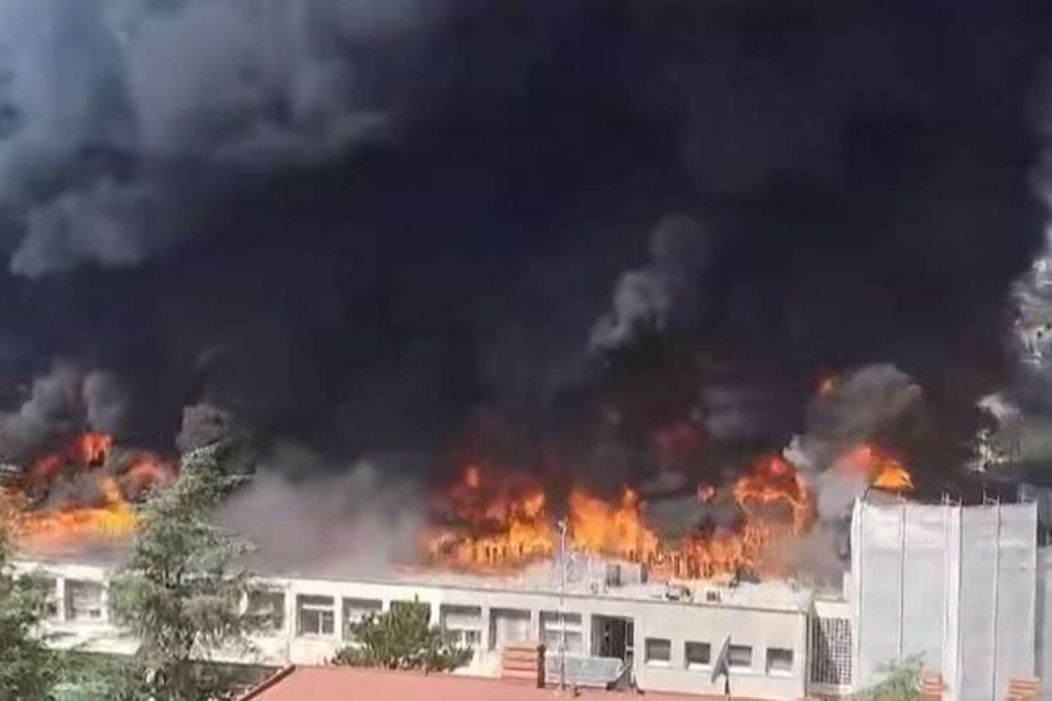 incendio università-tuscia