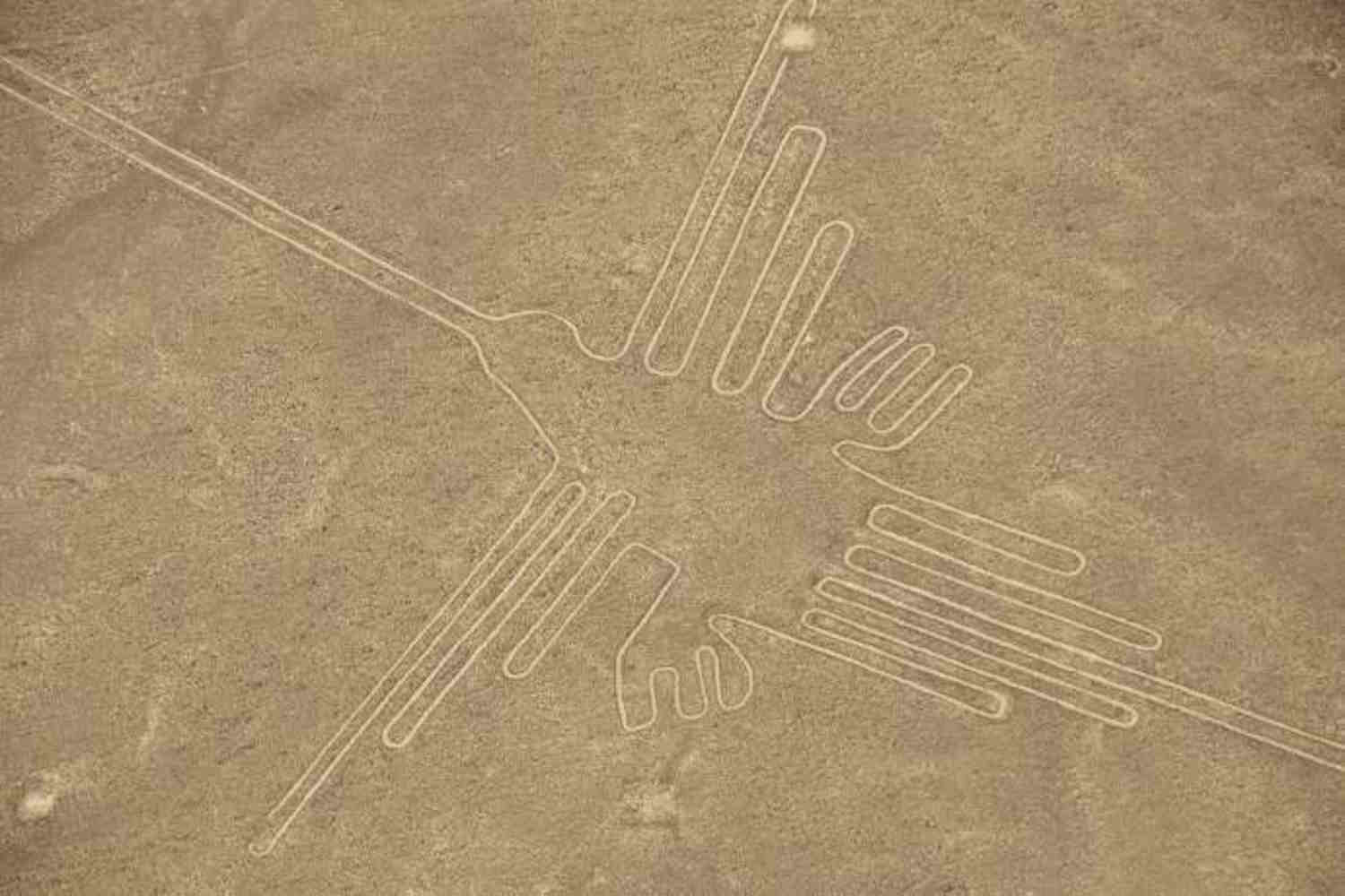 linee nazca