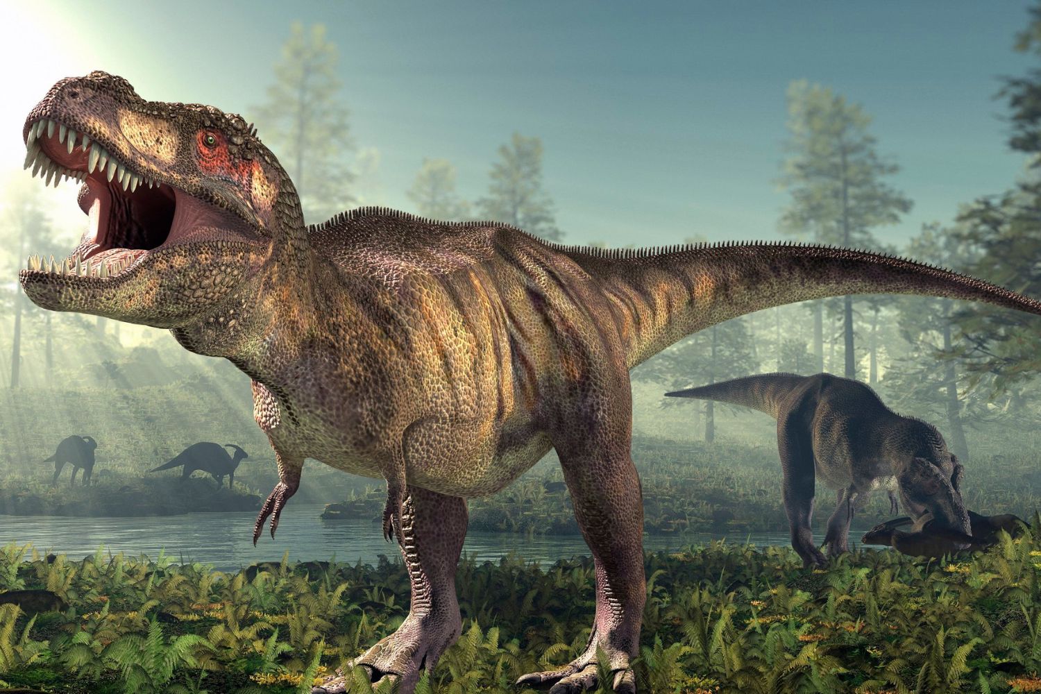 nuova specie antenato t-rex