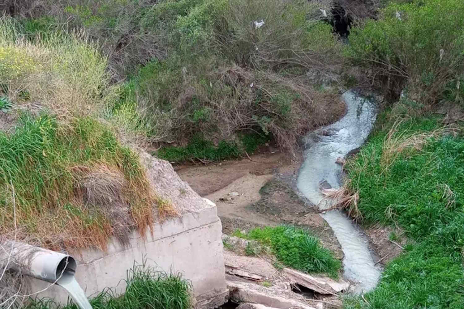 glifosato argentina