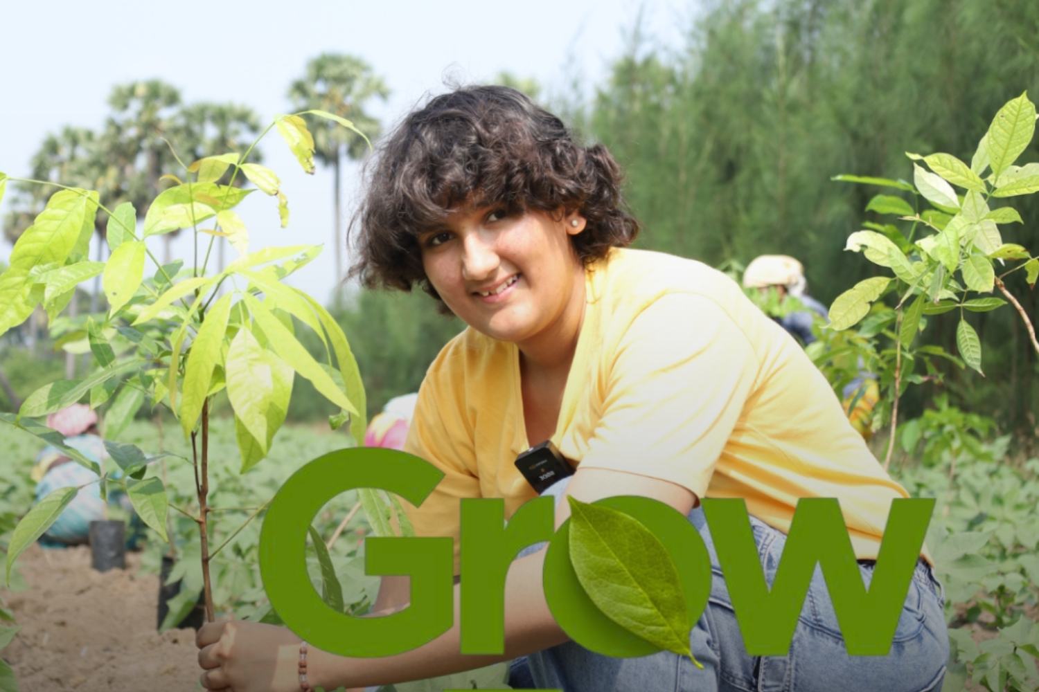 12enne pianta piante