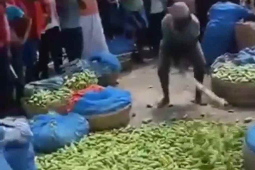 L'agriculteur détruit