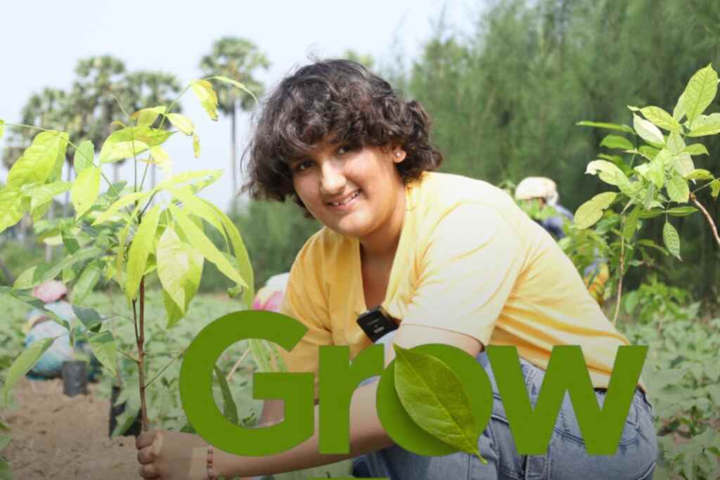 Plantes de plantes de 12 ans