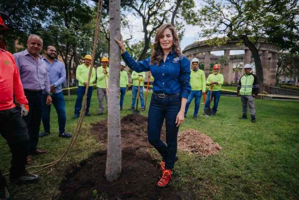 Arbres végétaux de Guadalajara