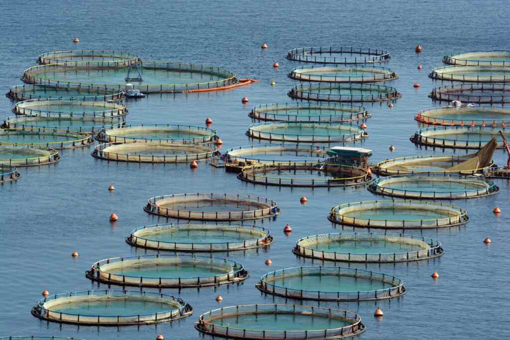 aquaculture