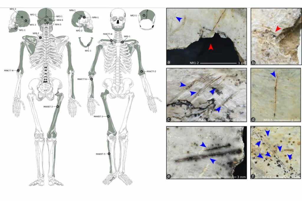 La découverte humaine a été mangée il y a 18 000 ans