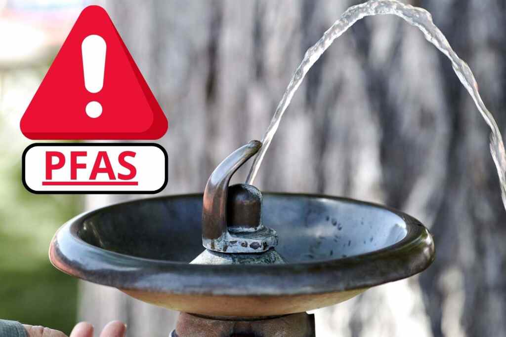 Acqua Fontanelle PFAS