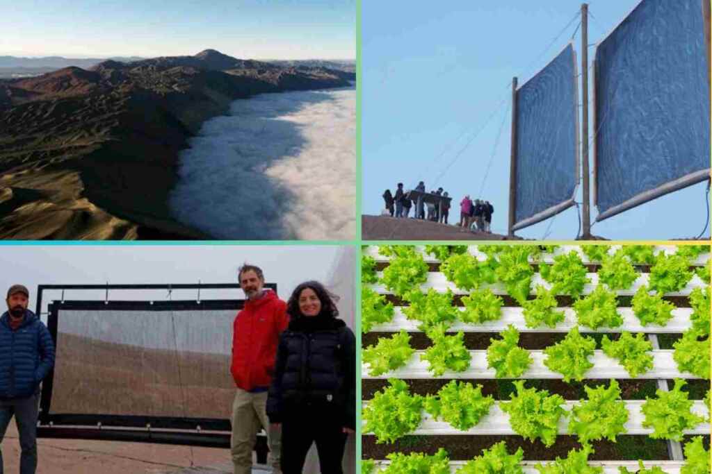 LeTtuga_nebbia_deserto_cile