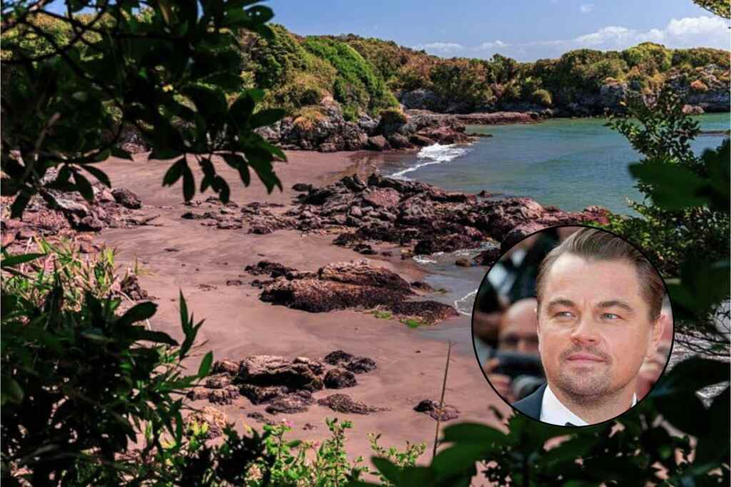 Di caprio isola chili