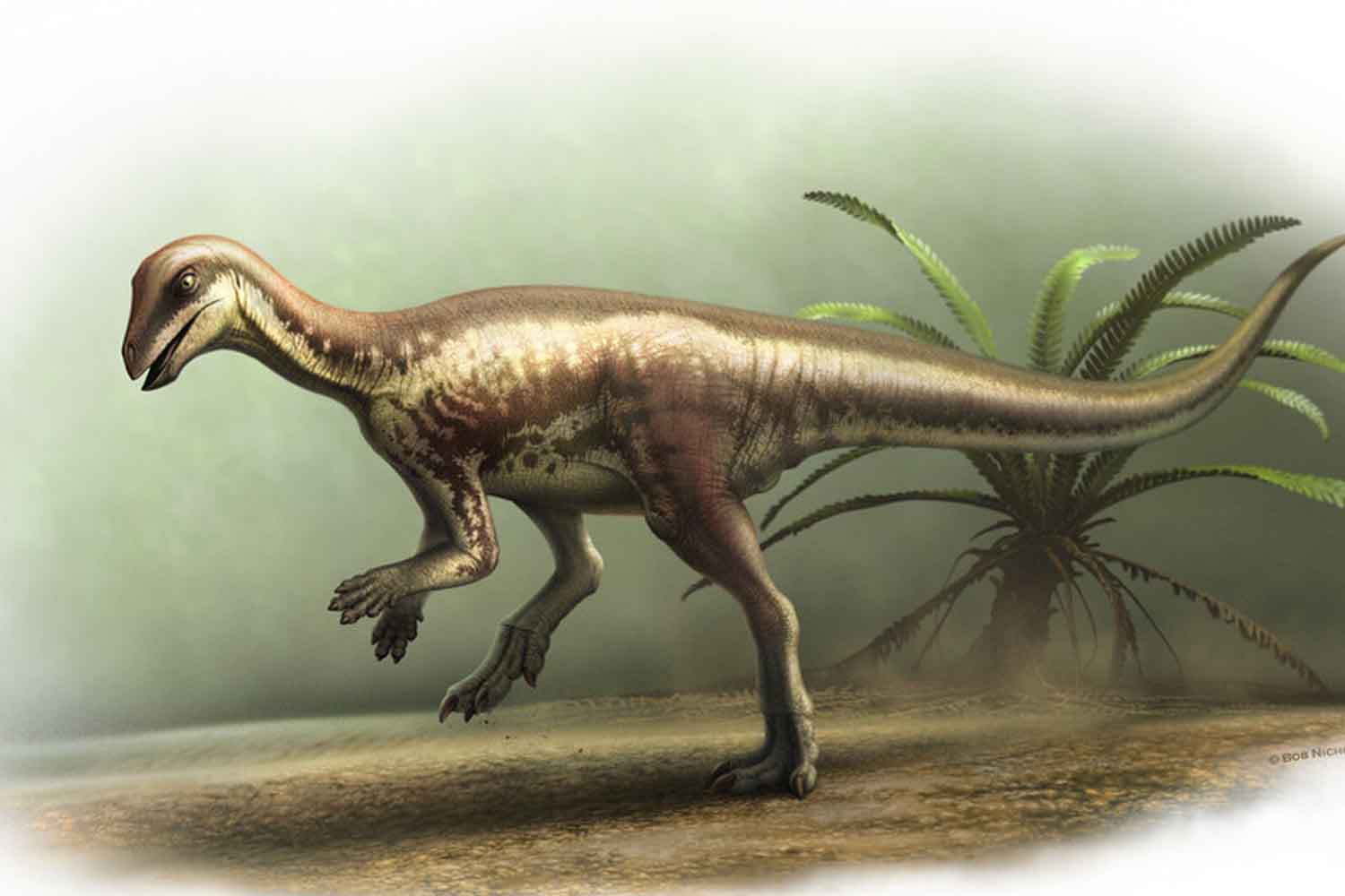 Enigmacursor