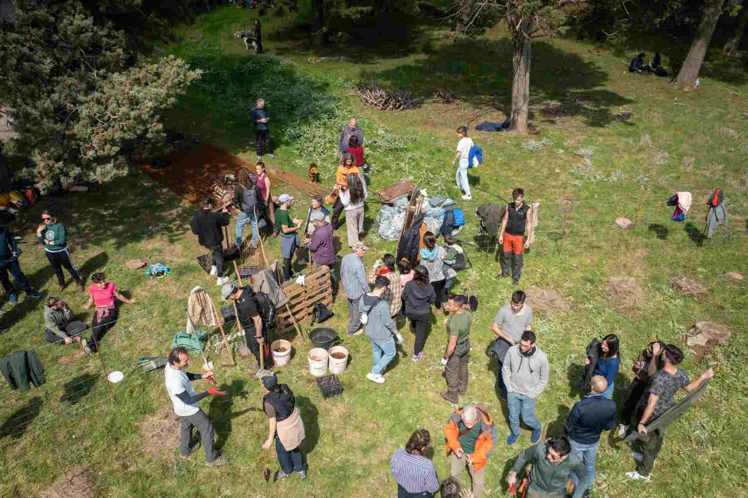 Bosco Seven Skies Palerme