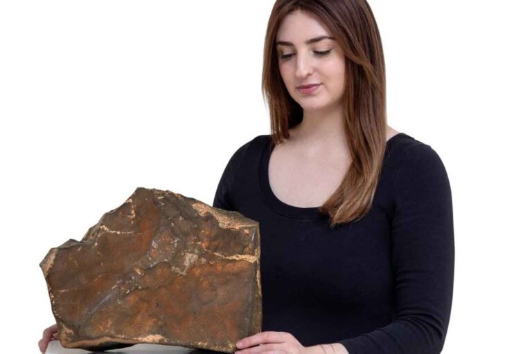 La plus grande météorite martienne au monde vendue aux enchères pour 5,3 millions de dollars