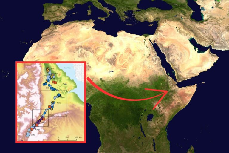 L'Afrique se sépare en donnant naissance à un sixième océan: cette étude révèle comment le monde va changer