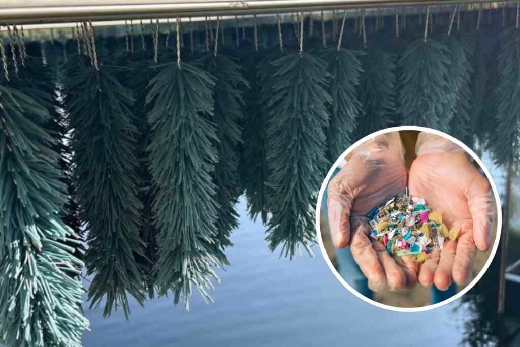 Polygone microplastique