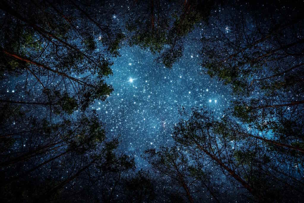 Bacio Venere Pleiadi 3 juillet 2025