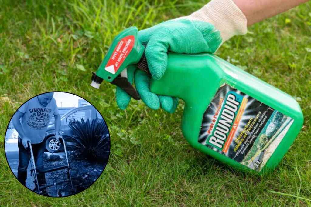 Glyphosate Ludovic Mauché